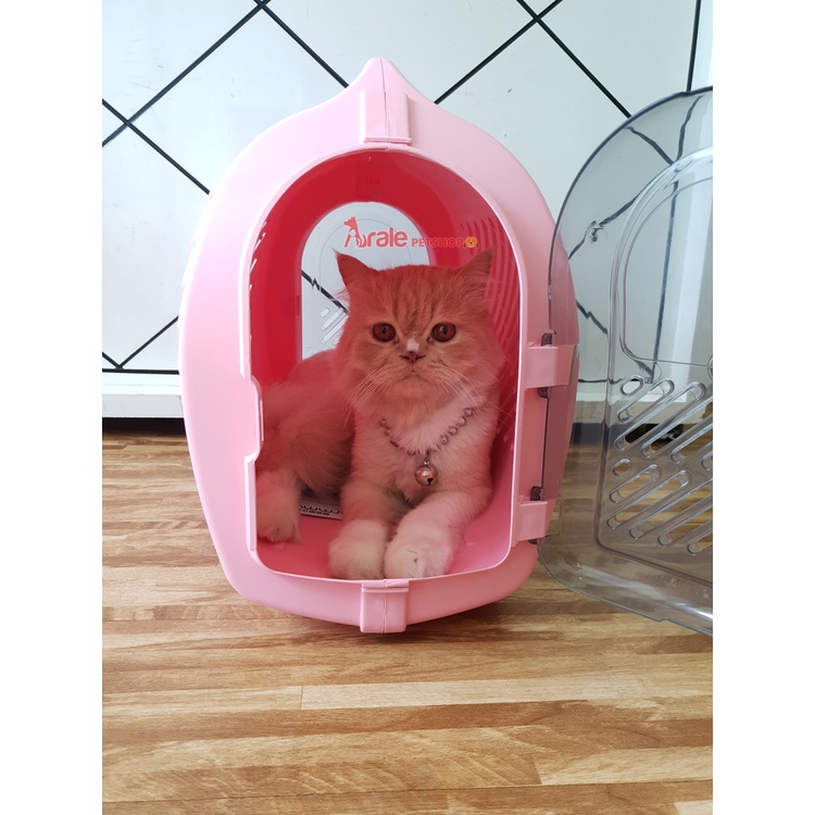 LỒNG VẬN CHUYỂN HELLO CHARMMY DOGGYMAN