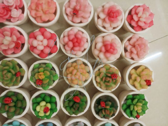 Sen đá chậu 5cm mẫu tháng 7