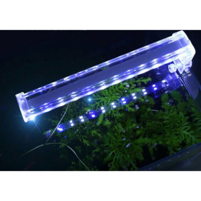 Đèn Led  Xilong kẹp bể cá