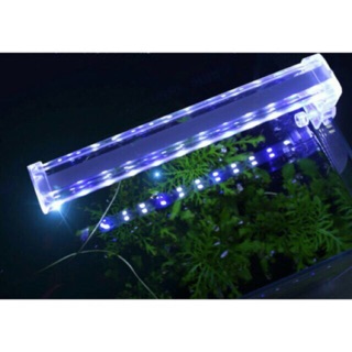 Đèn Led Xilong kẹp bể cá
