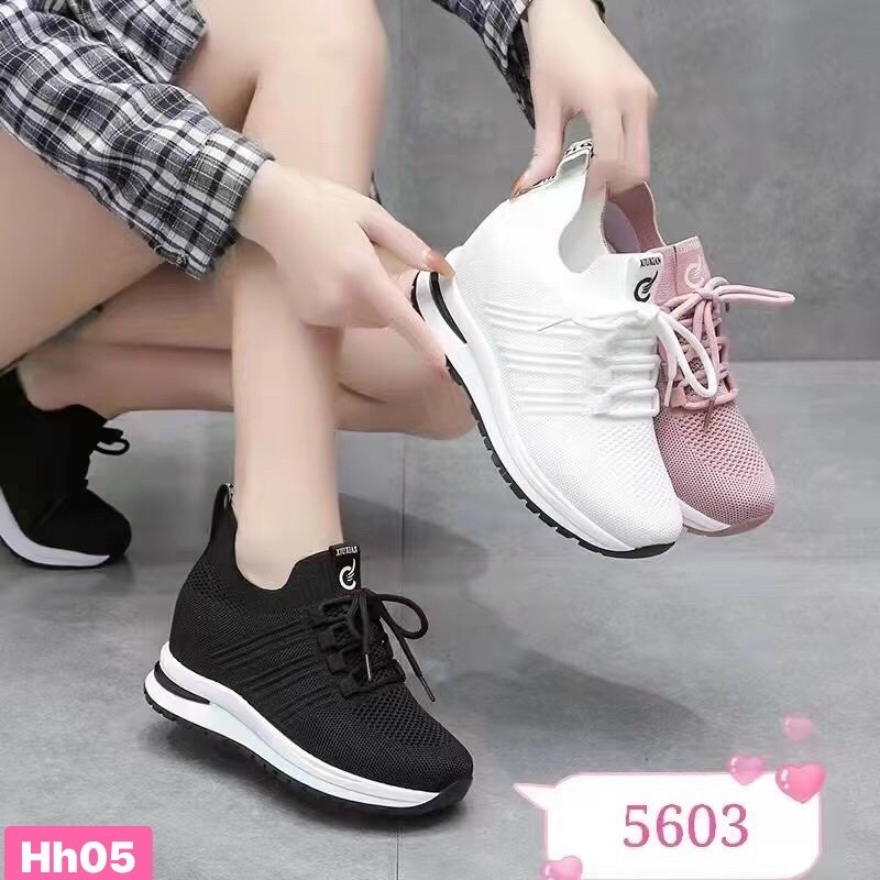 Thể thao sneaker chun độn đế 6cm