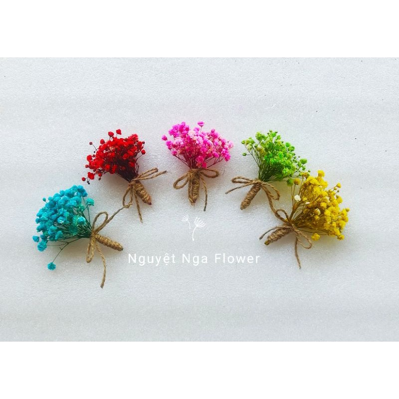 Bó hoa mini baby khô dùng trang trí bánh kem, hộp quà, chụp ảnh decor, làm thiệp handmade
