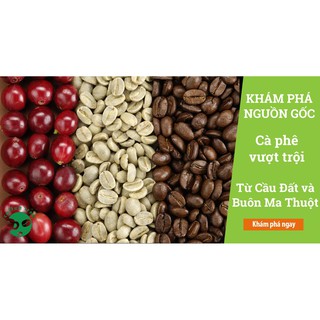 Cà phê nguyên chất Coffee Tree đặc biệt 1kg hạt/bột