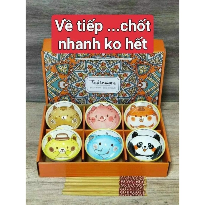 🥣 SET 6 BÁT HÌNH THÚ CUTIE KÈM ĐŨA 🥣