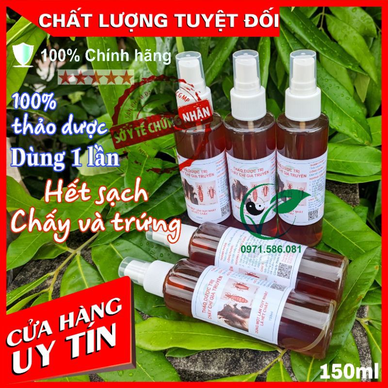 Thuốc Ủ Trị Chấy Chí Thảo Dược 100%. Hết Chấy Chí Chỉ Với 1 Lần Sử Dụng. Dầu Gội Trị Chấy Chí. Chai xịt 150ml | BigBuy360 - bigbuy360.vn