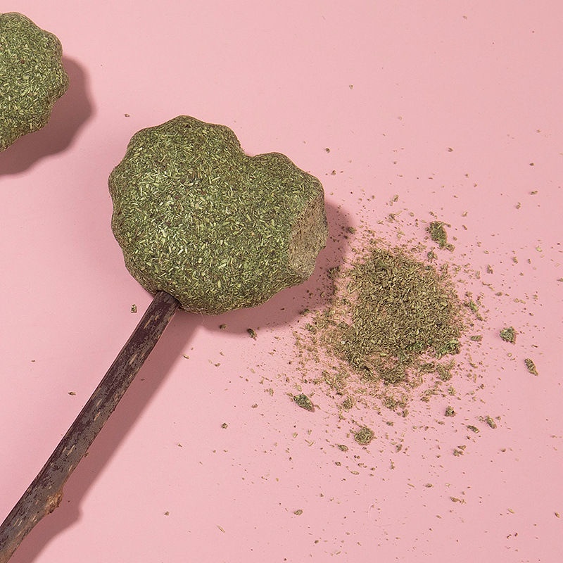 CATNIP BẠC HÀ CHO MÈO QUE HÌNH THÚ DỄ THƯƠNG