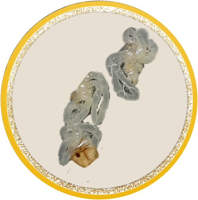 Nước Mắm Cà Cuống Tinh Dầu