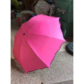 Ô gặp nước nở hoa chỉ 50k