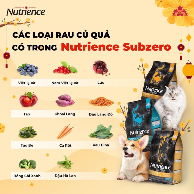 𝗨𝗿𝗯𝗮𝗻_NUTRIENCE SUBZERO_Hạt thịt thật cho mèo mọi lứa tuổi