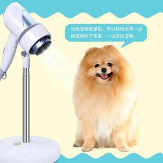 Máy sấy tóc, máy sấy tóc, máy sấy tóc, máy sấy tóc, máy sấy tóc, máy sấy tóc, máy sấy tóc