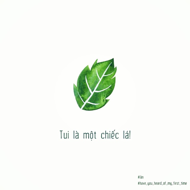 Shop Avatar