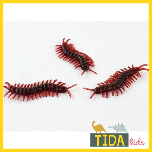 Combo 10 Rết Giả ⚡ Hot Trend ⚡ Đồ Chơi Côn Trùng Giả Bằng Nhựa, Trang Trí Halloween, Đồ Chơi Giải Trí TiDa Kid Shop