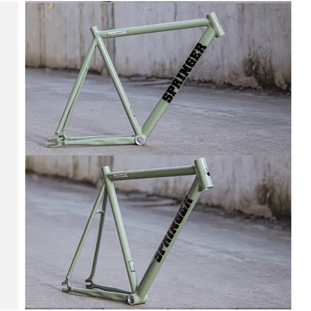 Khung xe đạp Fixed Gear Springer Pantone