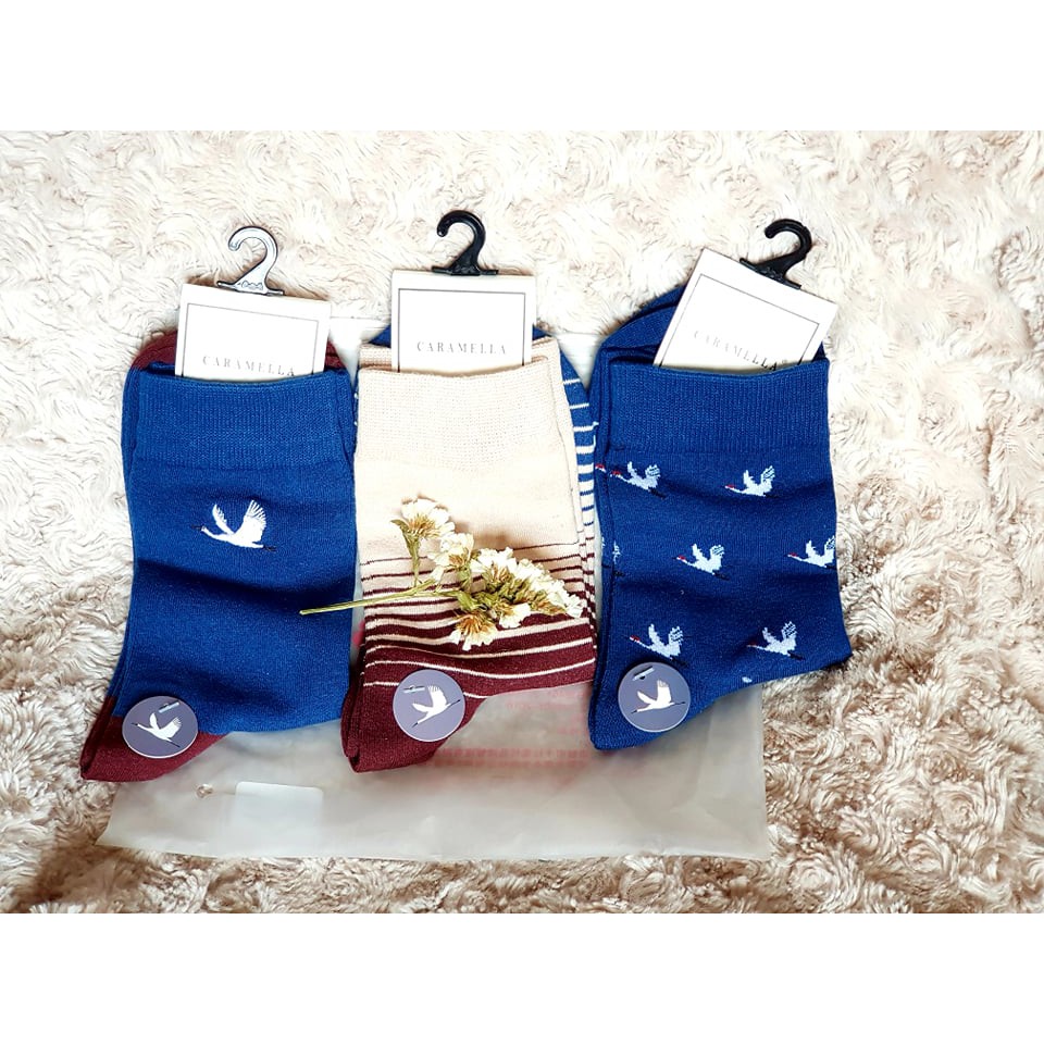 Túi 3 đôi vớ Caramella Bird