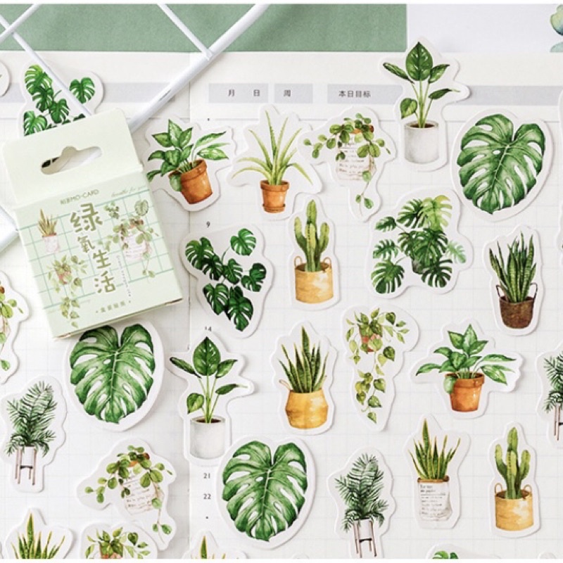 Sticker hộp 40 chiếc ST027