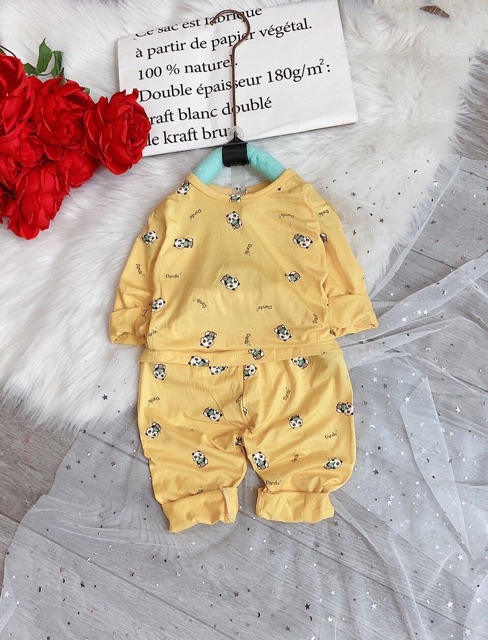 BỘ THUN LẠNH PEEKABOO CẠP CAO HOẠ TIẾT GẤU TRÚC