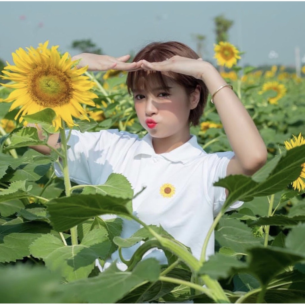 Áo Polo HOA HƯỚNG DƯƠNG Unisex | BigBuy360 - bigbuy360.vn