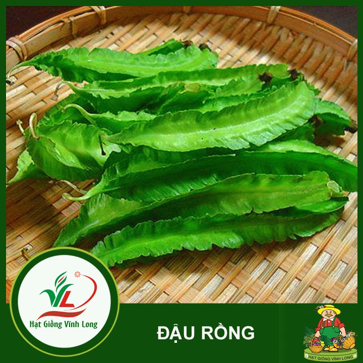 Hạt giống Đậu rồng RD 02 - 10g