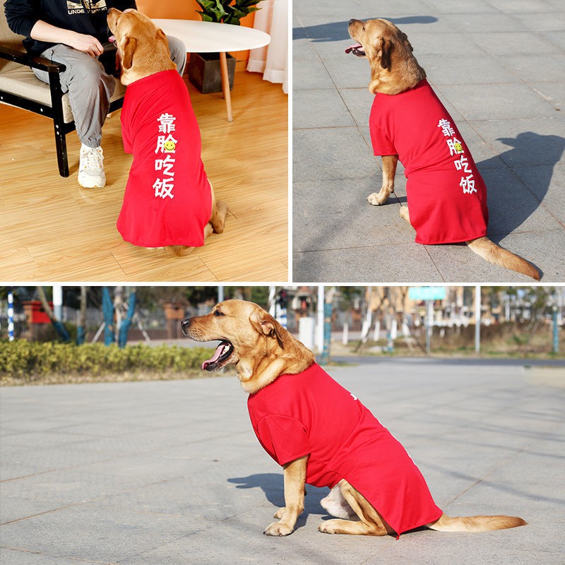 Quần áo cho chó lớn mùa hè Labrador Golden Retriever Alaska Shiba Inu Trung bình Vest