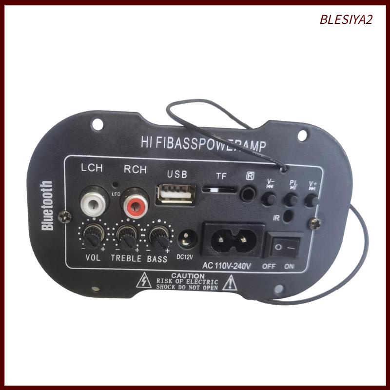 Bảng Mạch Khuếch Đại Tín Hiệu Radio TF / USB Blesiya2