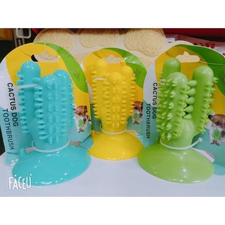 đồ chơi xương rồng hít đất cho thú cưng