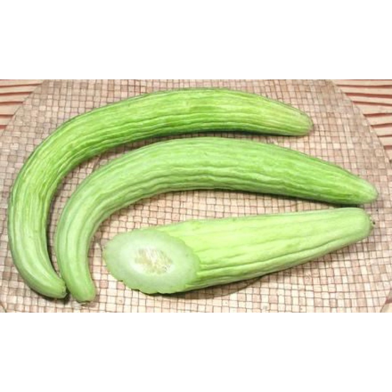 Hạt giống Dưa Chuột Rắn Mỹ Nhập Khẩu Thái Lan - 1 gram  - nảy mầm 90%