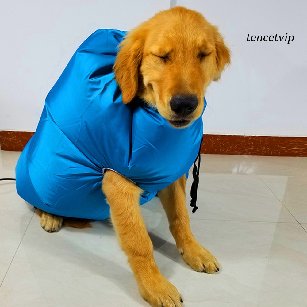Máy Sấy Tóc Dùng Khi Tắm Cho Thú Cưng Tiện Dụng