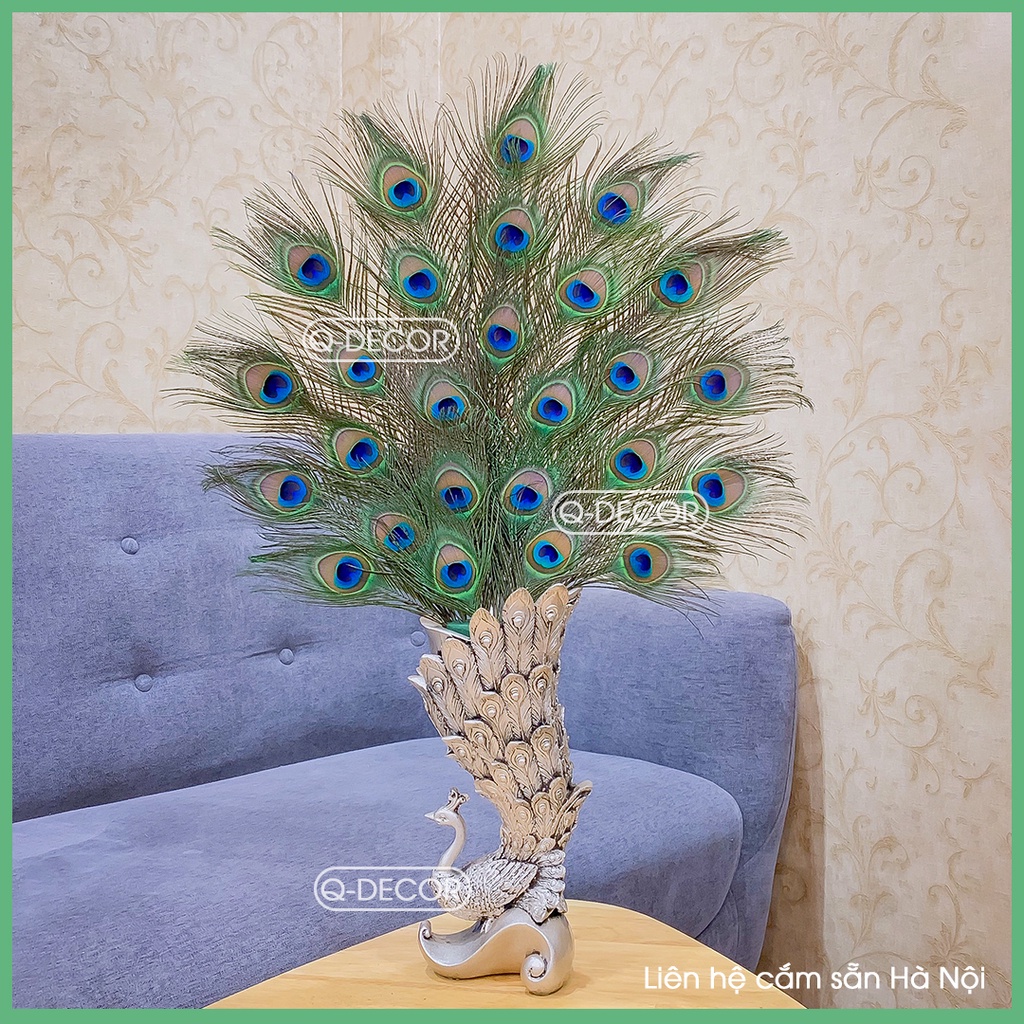 Lông công phong thủy Q Decor, dài 25-30cm, Mắt to 4-6cm, nhập khẩu Ấn Độ