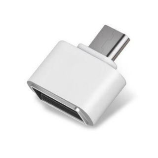 Đầu chuyển Type C sang USB OTG