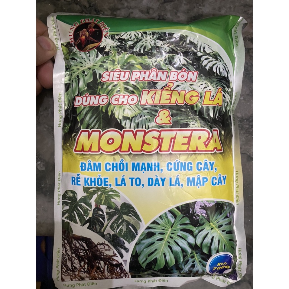 Phân bón chuyên dùng cho cây kiểng lá, cây trồng trong nhà, nội thất, văn phòng, monstera giúp cây khỏe, cứng cây