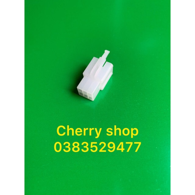 Jack đực 6P  2.8