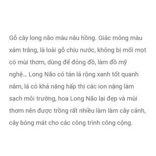 Thớt gỗ Long Não xuất Hàn