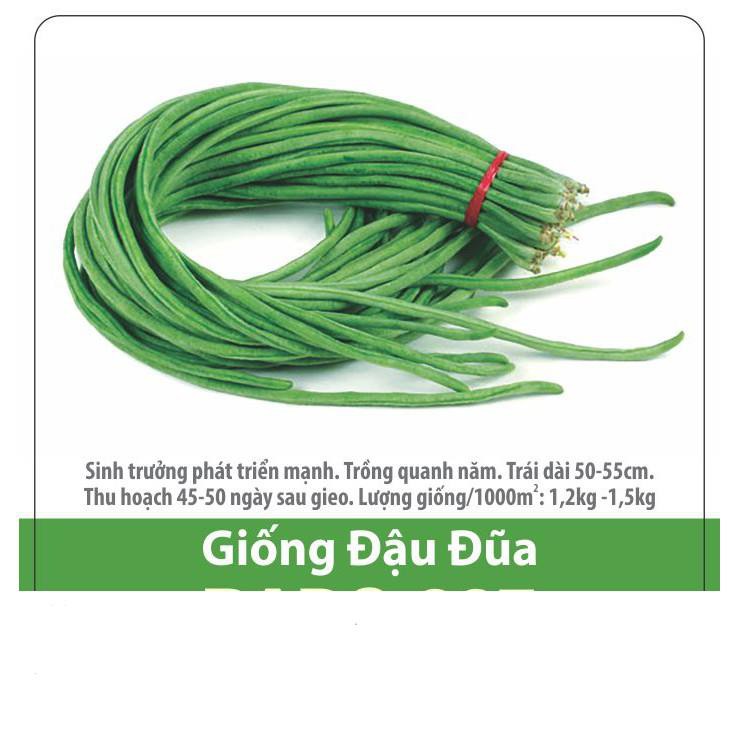 Hạt Giống Đậu Đũa F1 Năng Suất 20gr