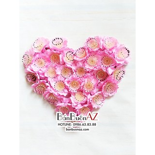 1kg Bông hoa đào hoa mai làm cây trang trí tết, decor