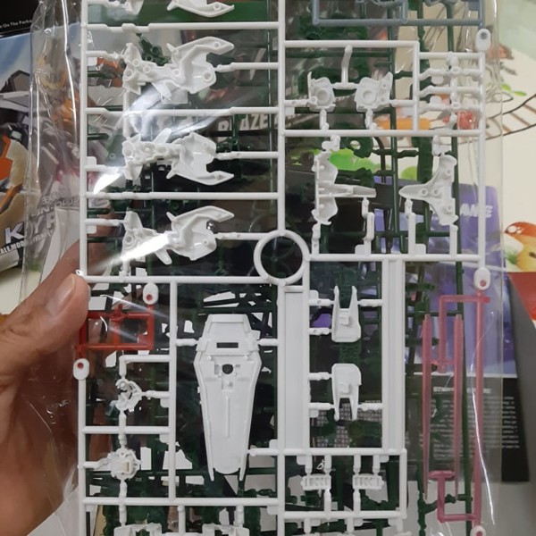 Mô Hình Gundam Astray Green Frame HG 1/144