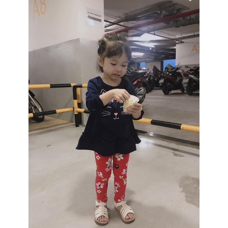 Set Carter xuất xịn