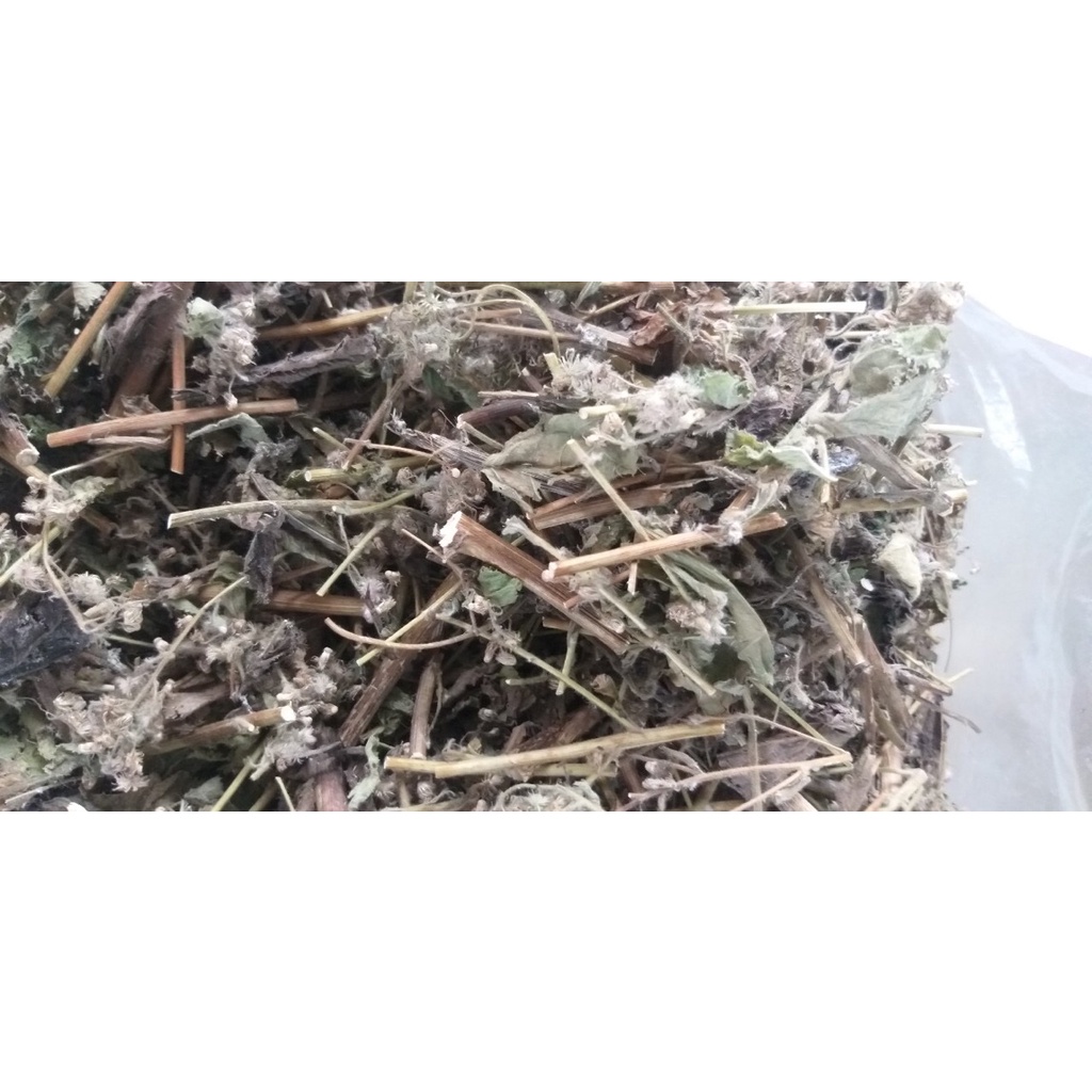 Cây cải trời khô[FREESHIP]Hỗ trợ bn u bướu, mẩn ngứa ngoài da -dltd