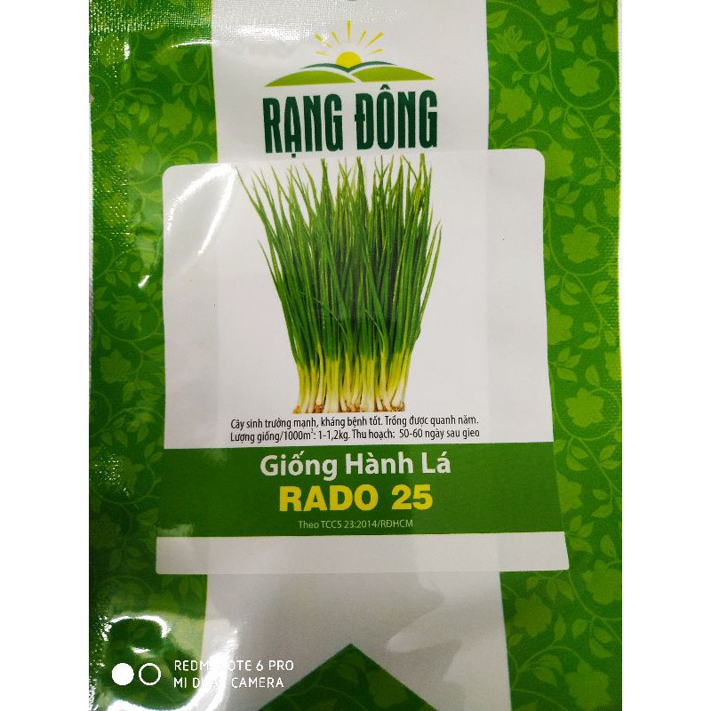 Hạt giống Hành lá 2.5gr❤️FREESHIP XTRA❤️