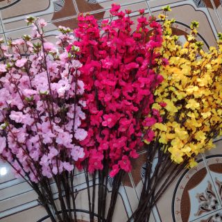 Combo 50 cành hoa anh đào hồng phấn