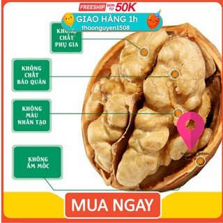 1KG QUẢ ÓC CHÓ