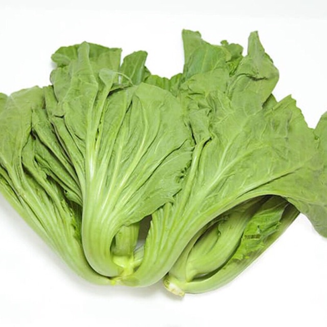 Hạt giống Cải Tòa Sại Thái Lan  - Cải bẹ dưa