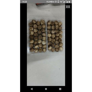 5kg tỏi đen loại 1
