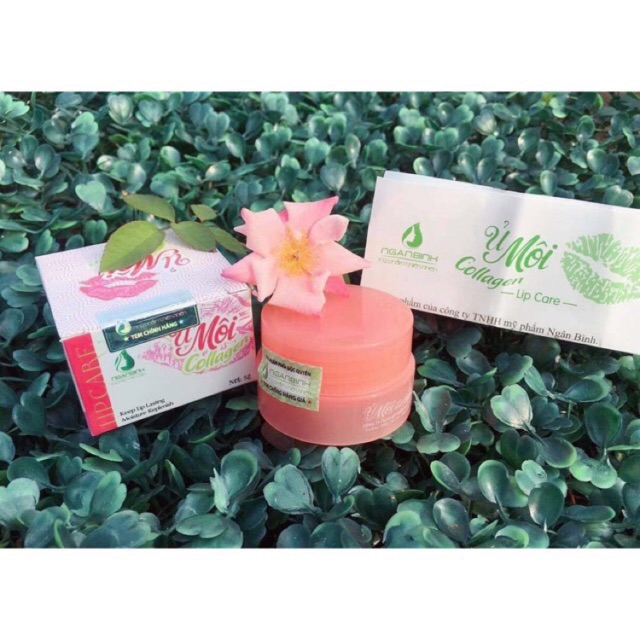 [ xả hàng hỏng hộp giấy] Ủ môi collagen Ngân Bình | BigBuy360 - bigbuy360.vn