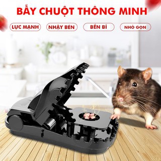 Bẫy Chuột Đen Thông Minh - Giá Rẻ Hiệu Quả Cao