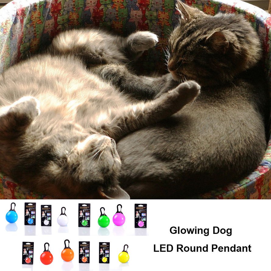 Vòng cổ hình tròn có đèn LED dễ thương cho thú cưng