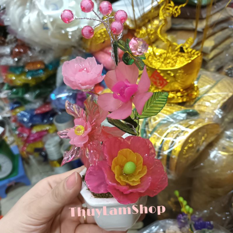 Chậu gốm sứ bình bông mai mini xinh xinh để bàn hút may mắn