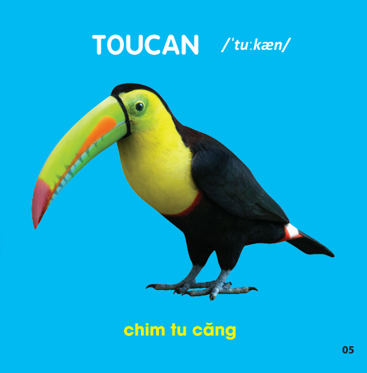 Sách - Bách Khoa Toàn Thư Cho Bé - Các Loài Chim