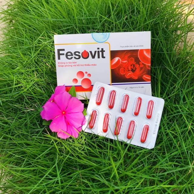 Fesovit – Hỗ trợ bổ sung sắt, ngăn ngừa thiếu máu cho bà bầu và người thiếu máu (60 viên)
