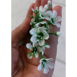 100g cỏ điểm