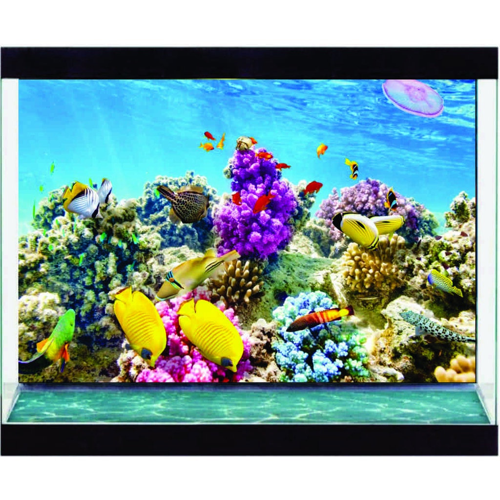 Decal Dán Hồ Cá - Hồ Thủy Sinh - 3D - Decal Sài Gòn